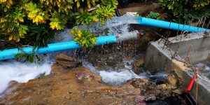 Broken water pipe in residential landscaping