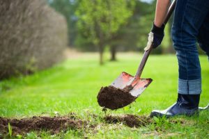 Person using shovel to dig hole in yard